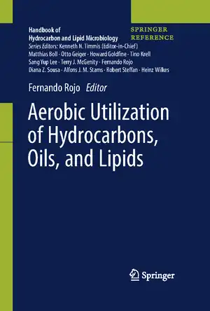 Buchcover ISBN 9783319504193