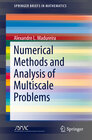 Buchcover Numerical Methods and Analysis of Multiscale Problems