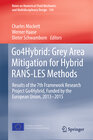 Buchcover Go4Hybrid: Grey Area Mitigation for Hybrid RANS-LES Methods