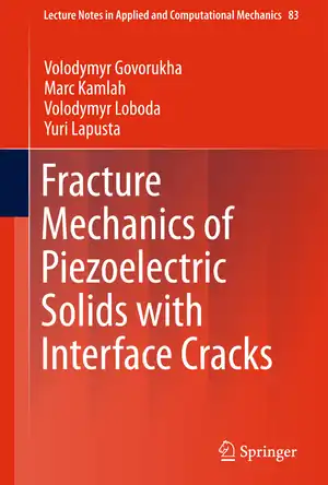 Buchcover ISBN 9783319535531