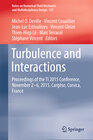 Buchcover Turbulence and Interactions