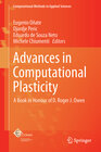 Buchcover Advances in Computational Plasticity
