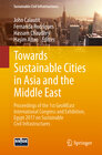 Buchcover Towards Sustainable Cities in Asia and the Middle East