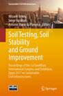 Buchcover Soil Testing, Soil Stability and Ground Improvement
