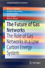 Buchcover The Future of Gas Networks