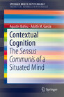 Buchcover Contextual Cognition