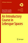 Buchcover An Introductory Course in Lebesgue Spaces