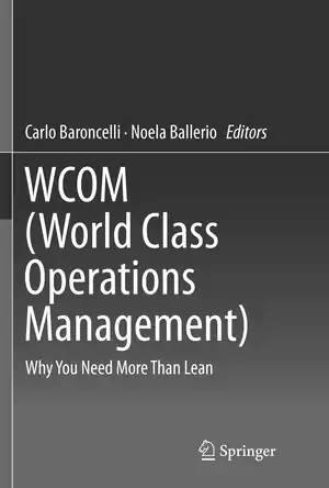 Buchcover ISBN 9783319807256