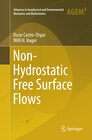 Buchcover Non-Hydrostatic Free Surface Flows