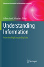 Buchcover Understanding Information