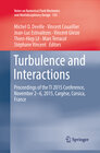 Buchcover Turbulence and Interactions