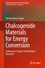 Buchcover Chalcogenide Materials for Energy Conversion