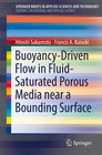 Buchcover Buoyancy-Driven Flow in Fluid-Saturated Porous Media near a Bounding Surface