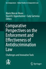 Buchcover Comparative Perspectives on the Enforcement and Effectiveness of Antidiscrimination Law