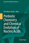 Buchcover Prebiotic Chemistry and Chemical Evolution of Nucleic Acids