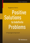 Buchcover Positive Solutions to Indefinite Problems