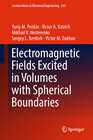 Buchcover Electromagnetic Fields Excited in Volumes with Spherical Boundaries