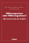 Buchcover Währungsunion oder Währungschaos?