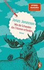 Buchcover Wie die Schweden das Träumen erfanden