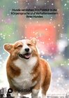 Buchcover Hunde verstehen: Ein Einblick in die Körpersprache und Verhaltensweisen Ihres Hundes