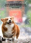 Buchcover Hunde verstehen: Ein Einblick in die Körpersprache und Verhaltensweisen Ihres Hundes
