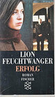 Buchcover Erfolg