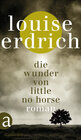 Buchcover Die Wunder von Little No Horse