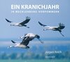 Buchcover Ein Kranichjahr in Mecklenburg-Vorpommern