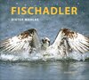 Buchcover Fischadler
