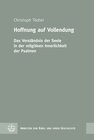 Buchcover Hoffnung auf Vollendung