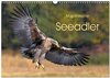 Buchcover Majestätische Seeadler (Wandkalender 2024 DIN A3 quer), CALVENDO Monatskalender
