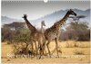 Buchcover Serengeti - auf den Spuren eines Zoologen (Wandkalender 2024 DIN A3 quer), CALVENDO Monatskalender