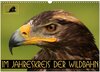 Buchcover Im Jahreskreis der Wildbahn (Wandkalender 2024 DIN A3 quer), CALVENDO Monatskalender