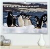 Buchcover Einfach liebenswert diese Pinguine (hochwertiger Premium Wandkalender 2024 DIN A2 quer), Kunstdruck in Hochglanz