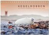 Buchcover Kegelrobben - Die Kegelrobben von Helgoland (Tischkalender 2024 DIN A5 quer), CALVENDO Monatskalender