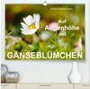 Buchcover Auf Augenhöhe mit Gänseblümchen (hochwertiger Premium Wandkalender 2024 DIN A2 quer), Kunstdruck in Hochglanz