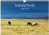 Buchcover Islandpferde take it Isi (Wandkalender 2024 DIN A4 quer), CALVENDO Monatskalender
