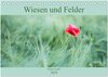 Buchcover Wiesen und Felder (Tischkalender 2024 DIN A5 quer), CALVENDO Monatskalender