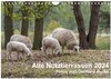 Buchcover Alte Nutztierrassen 2024 (Wandkalender 2024 DIN A4 quer), CALVENDO Monatskalender