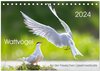 Buchcover Wattvögel an der Friesischen IJsselmeerküste (Tischkalender 2024 DIN A5 quer), CALVENDO Monatskalender