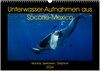 Buchcover Unterwasser-Aufnahmen aus Socorro-Mexico (Wandkalender 2024 DIN A3 quer), CALVENDO Monatskalender