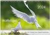 Buchcover Wattvögel an der Friesischen IJsselmeerküste (Wandkalender 2024 DIN A4 quer), CALVENDO Monatskalender