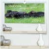 Buchcover Hühner im eigenen Garten (hochwertiger Premium Wandkalender 2024 DIN A2 quer), Kunstdruck in Hochglanz