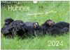 Buchcover Hühner im eigenen Garten (Wandkalender 2024 DIN A4 quer), CALVENDO Monatskalender