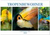 Buchcover Tropenbewohner - farbenfrohe Vögel (Wandkalender 2024 DIN A2 quer), CALVENDO Monatskalender