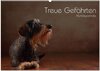 Buchcover Treue Gefährten - Hundeportraits (Wandkalender 2024 DIN A2 quer), CALVENDO Monatskalender