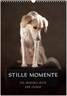 Buchcover Stille Momente - Die sensible Seite der Hunde (Wandkalender 2024 DIN A3 hoch), CALVENDO Monatskalender