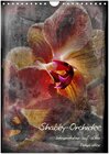 Buchcover Shabby - Orchidee, Interpretation auf alten Fotoplatten (Wandkalender 2024 DIN A4 hoch), CALVENDO Monatskalender