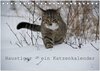 Buchcover Haustiger - Ein Katzenkalender (Tischkalender 2024 DIN A5 quer), CALVENDO Monatskalender