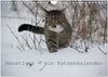 Buchcover Haustiger - Ein Katzenkalender (Wandkalender 2024 DIN A4 quer), CALVENDO Monatskalender